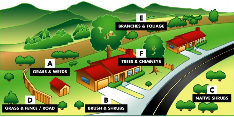 Graphic illustrating brush