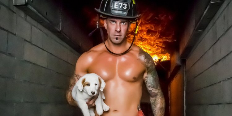 Fire Rescue Dogs - Theo