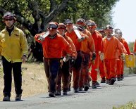 CAL Fire Volunteer firefighters