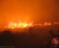 Volunteer Firefighter